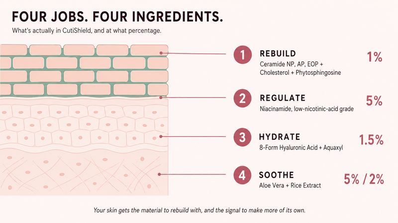 Five skin-identical lipids. Every active dosed to work.